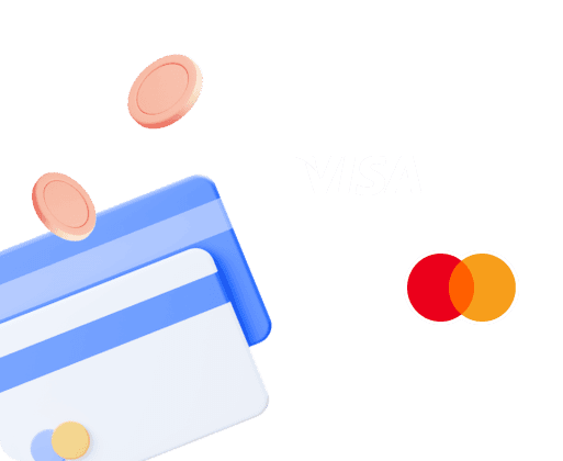 visa and wallet